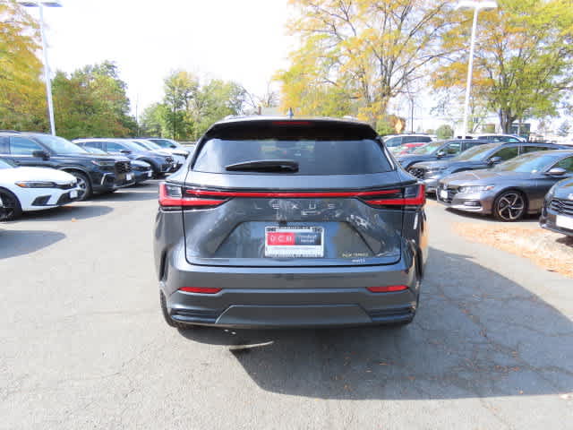 Used 2025 Lexus NX 350 AWD w/ Cold Area Package image 5