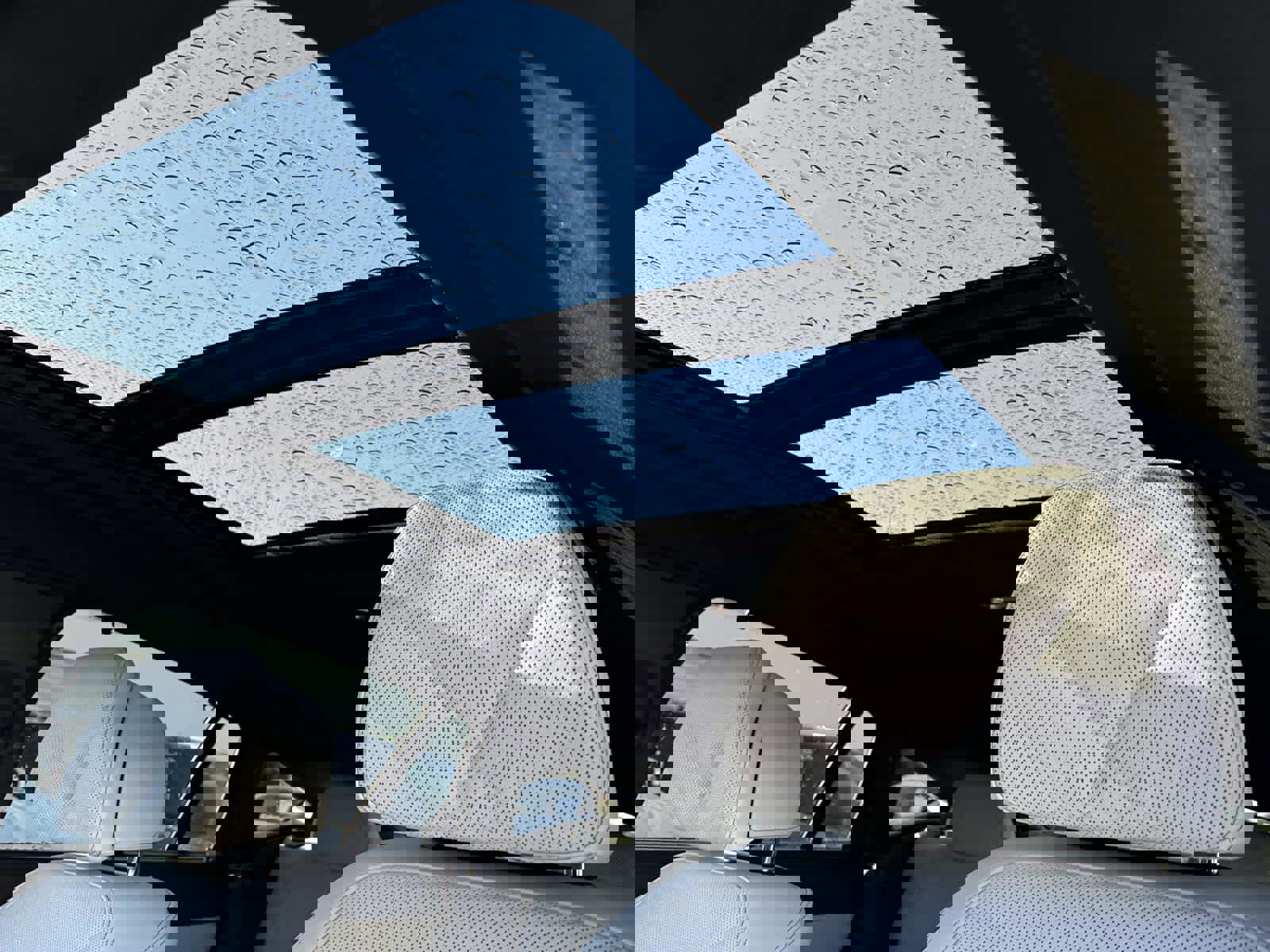 New 2026 BMW X6 xDrive40i w/ Executive Package image 4