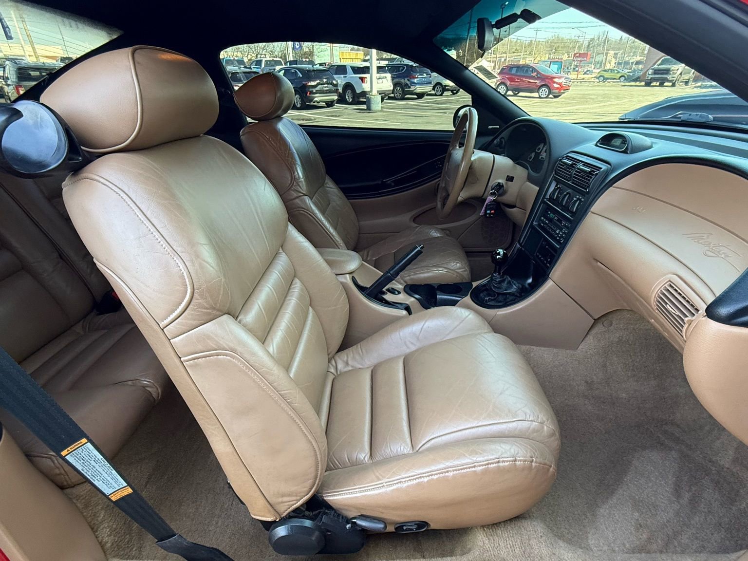 Used 1994 Ford Mustang Cobra image 15