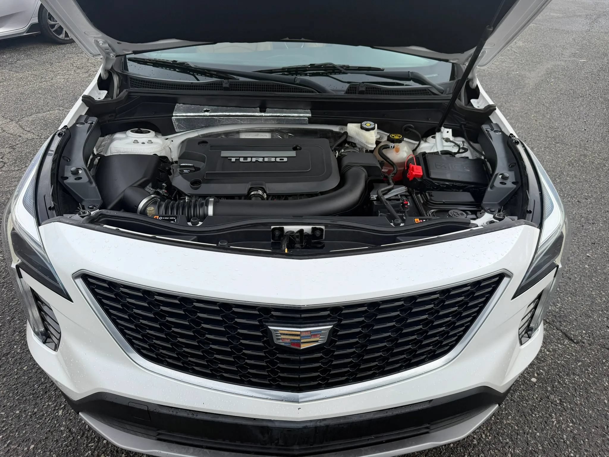 Used 2019 Cadillac XT4 Premium Luxury FWD image 23