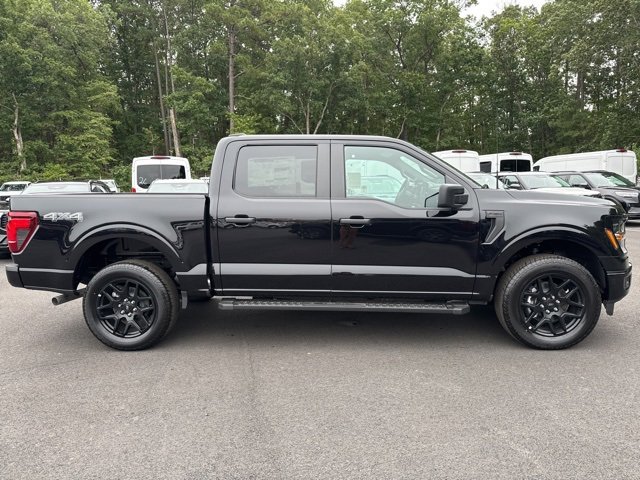 New 2025 Ford F150 STX w/ STX Black Appearance Package image 6