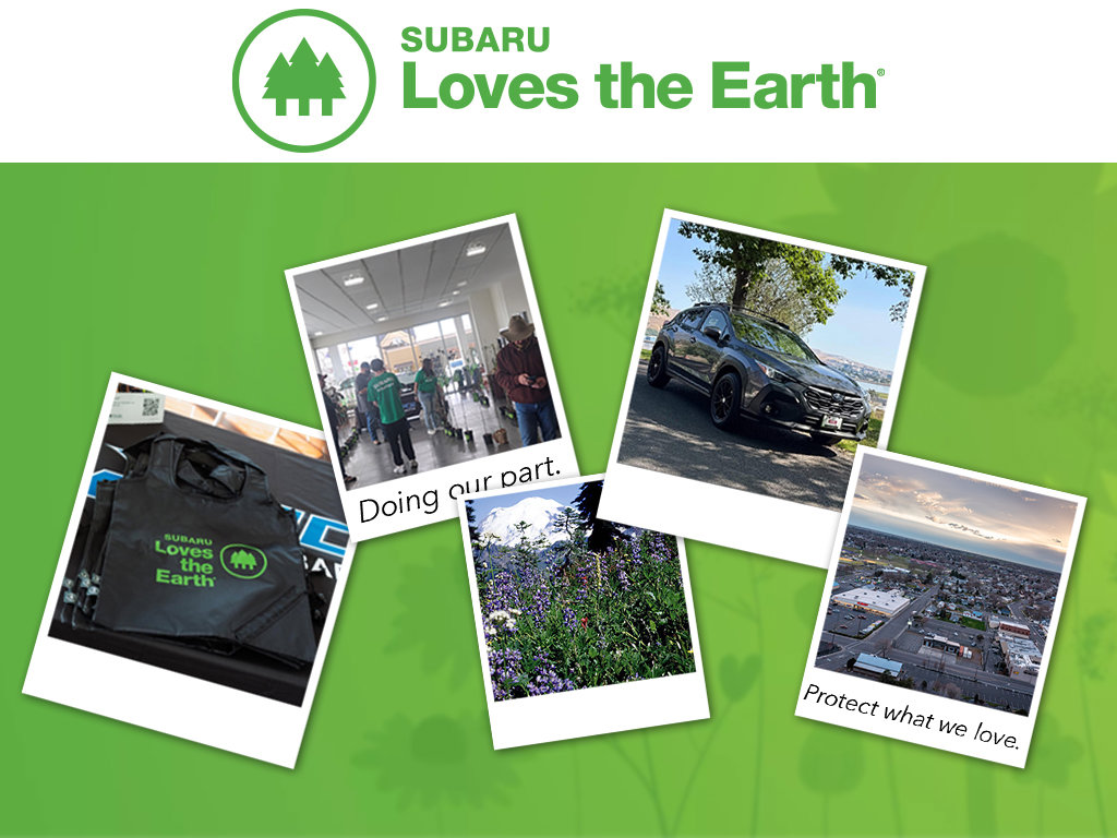 Used 2022 Subaru Outback Wilderness w/ Wilderness Package AWD/4WD image 11