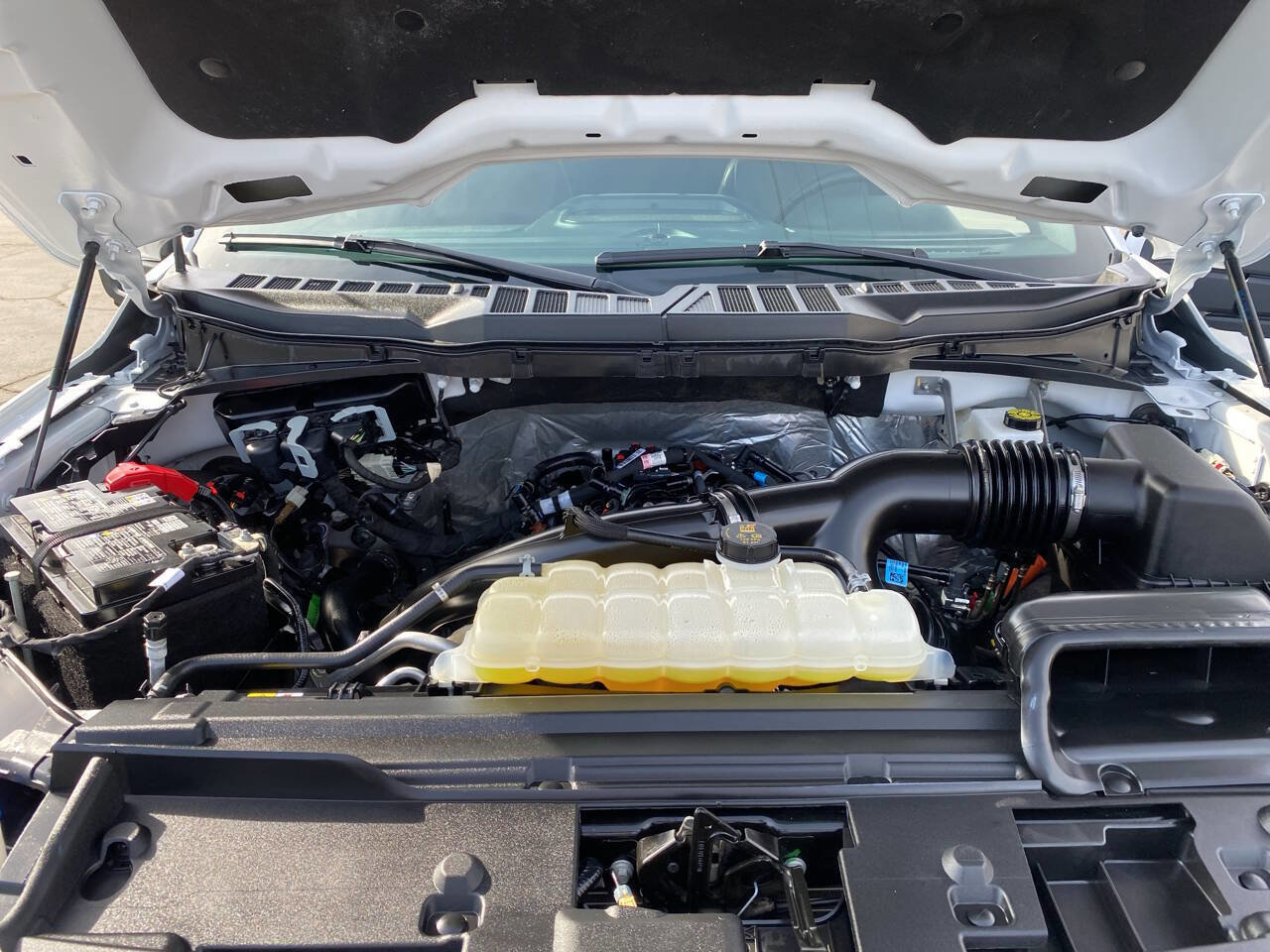 Used 2025 Ford F150 XLT w/ Equipment Group 303A High image 37