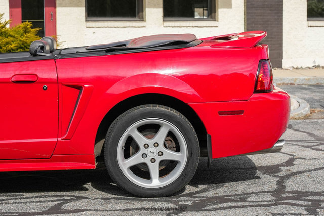 Used 1999 Ford Mustang Cobra image 5