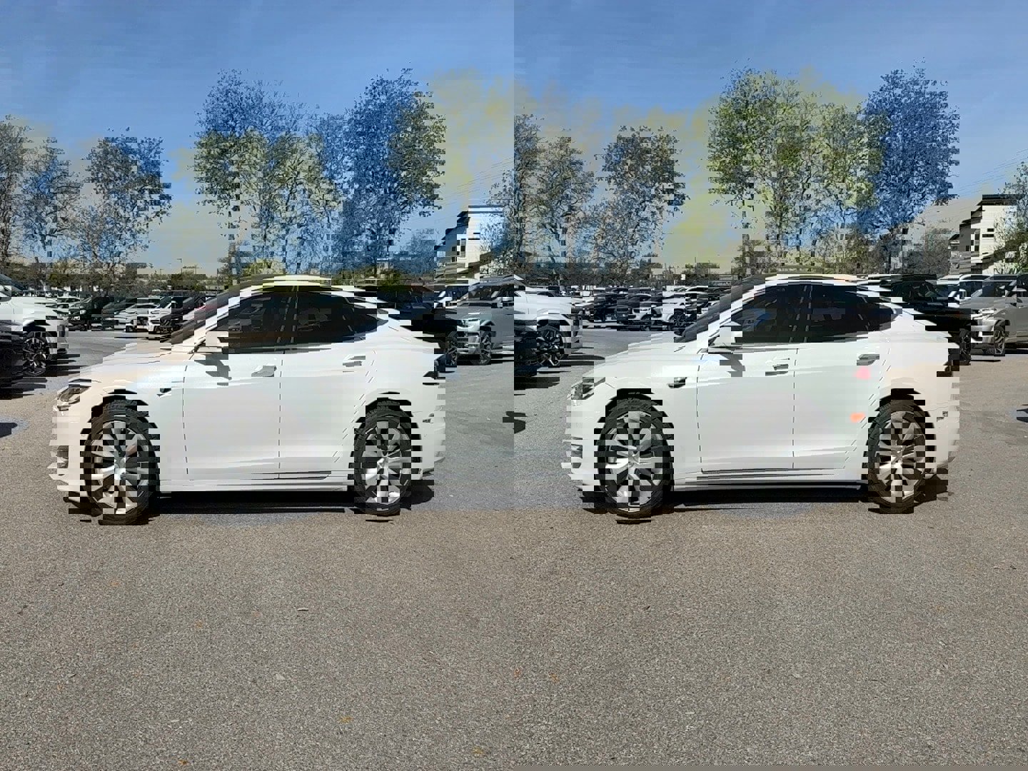 Used 2020 Tesla Model S Long Range Plus image 3