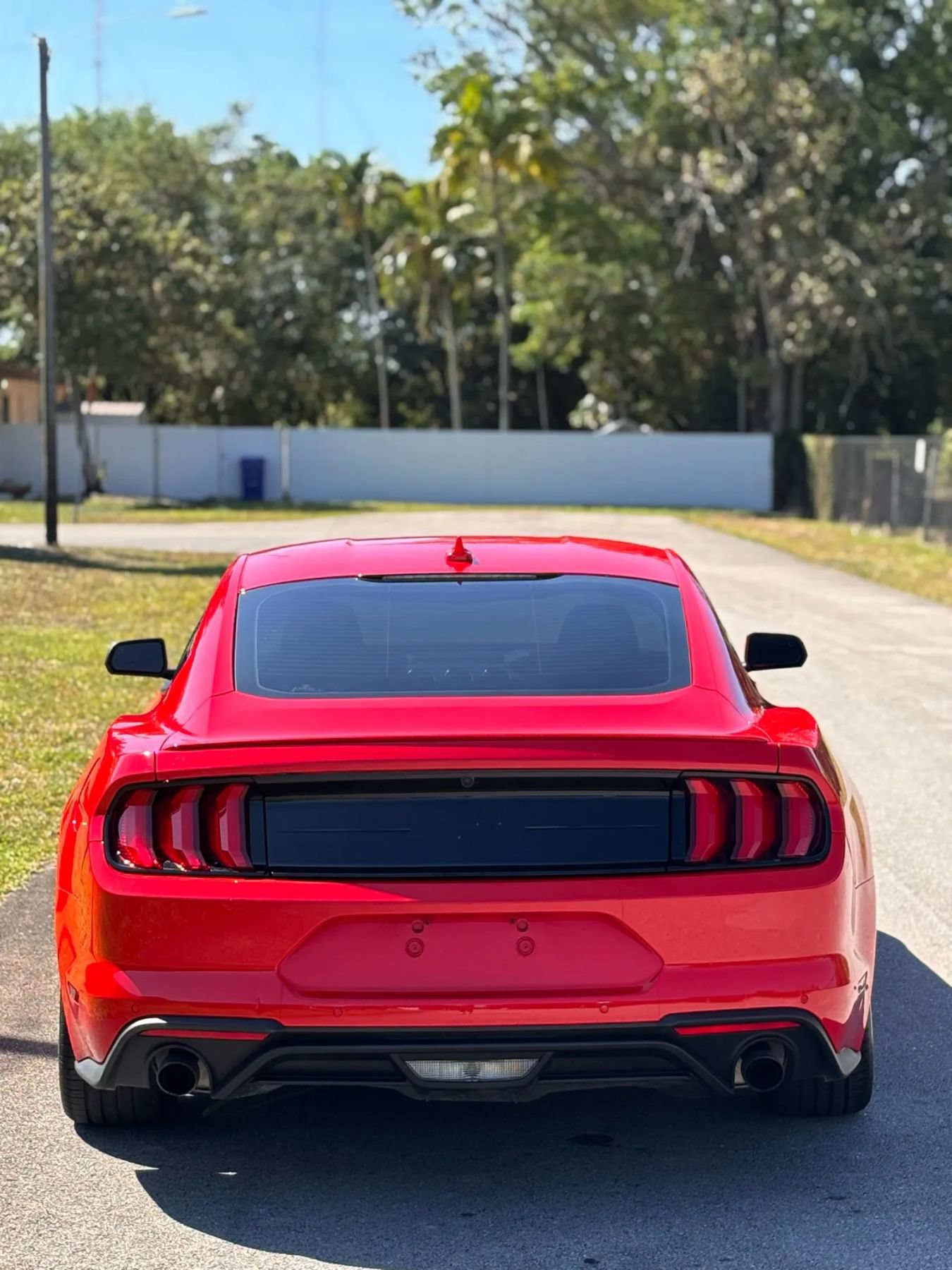 Used 2023 Ford Mustang Premium RWD image 6