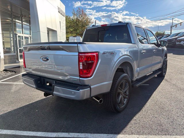 Used 2023 Ford F150 XLT w/ Equipment Group 302A High AWD/4WD image 3