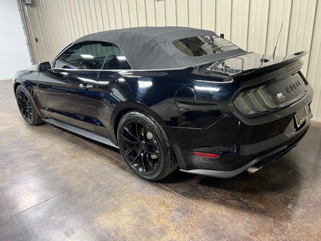 Used 2019 Ford Mustang Premium w/ Equipment Group 201A image 6