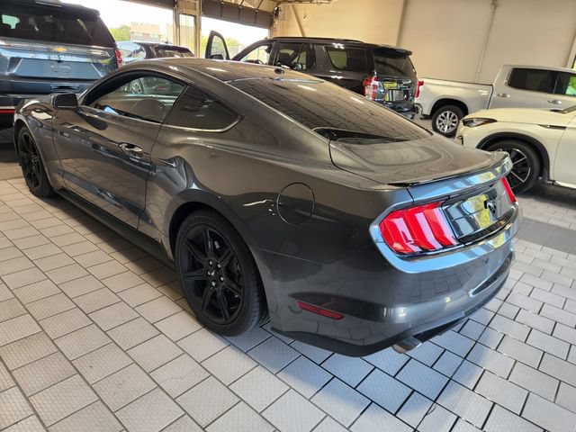 Used 2019 Ford Mustang Premium w/ Equipment Group 201A RWD image 4