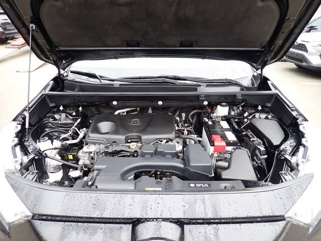 Certified 2024 Toyota RAV4 LE image 13