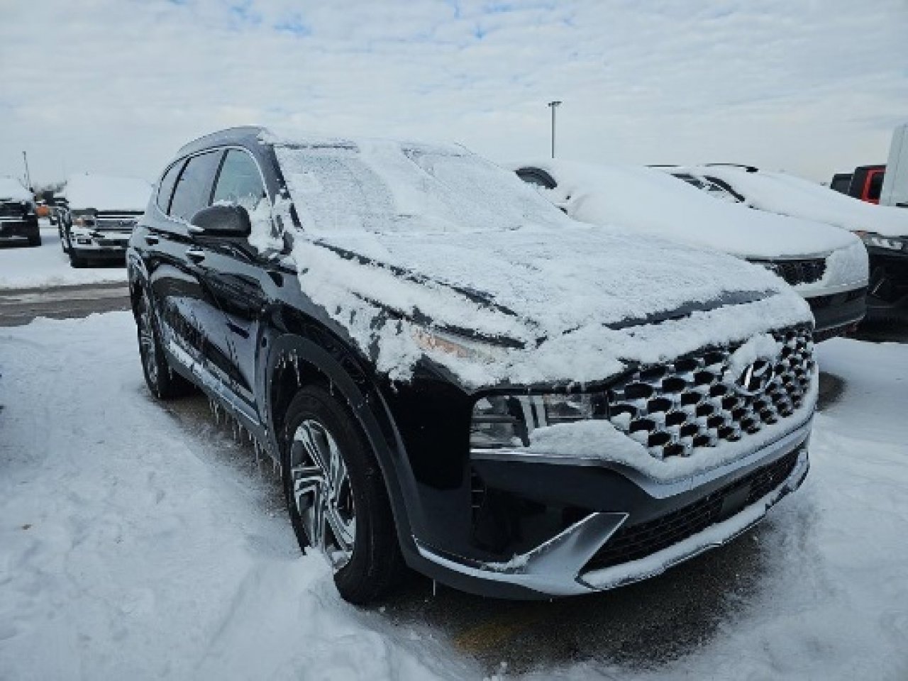 Used 2023 Hyundai Santa Fe SEL w/ Premium Package image 4