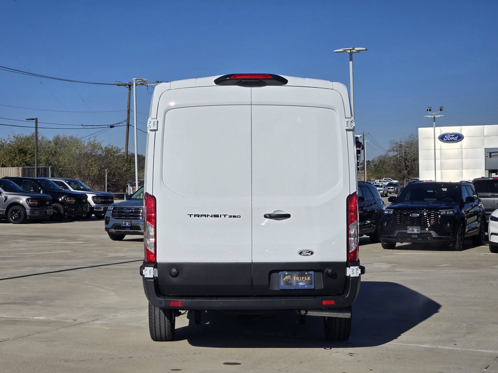 New 2026 Ford Transit 250 148 Medium Roof w/ Load Area Protection Package RWD image 8