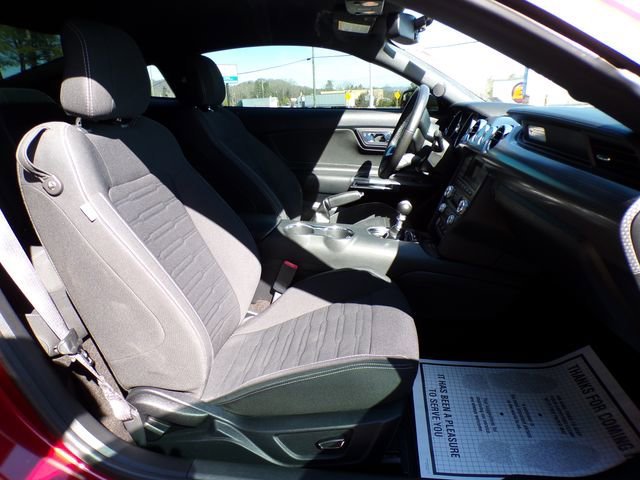 Used 2016 Ford Mustang EcoBoost w/ Ecoboost Performance Package image 10