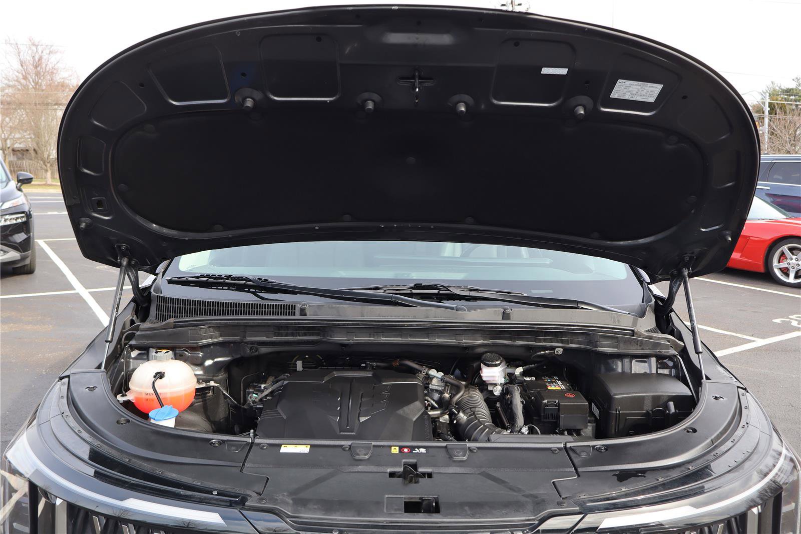 Certified 2025 Kia Carnival image 10