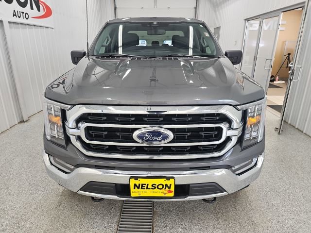 Used 2023 Ford F150 XLT w/ Equipment Group 302A High image 5