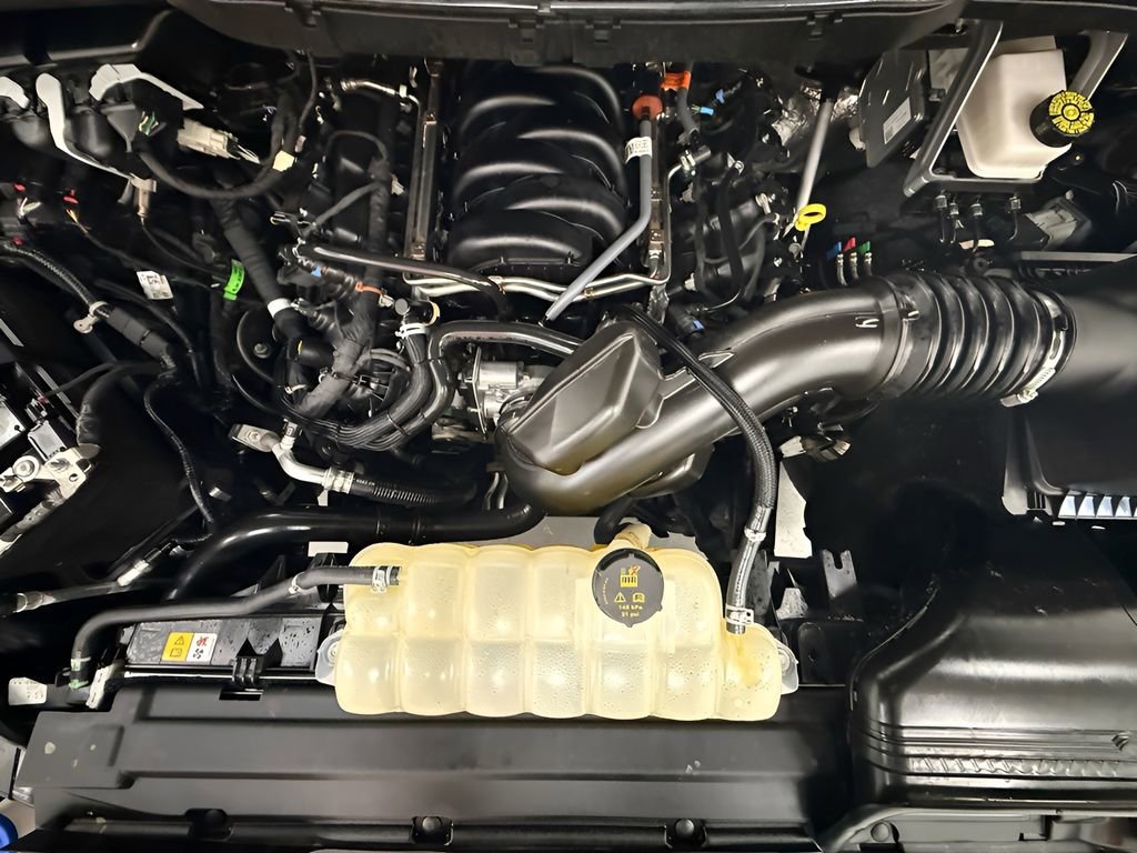 Used 2025 Ford F150 XLT w/ Equipment Group 301A Standard image 19