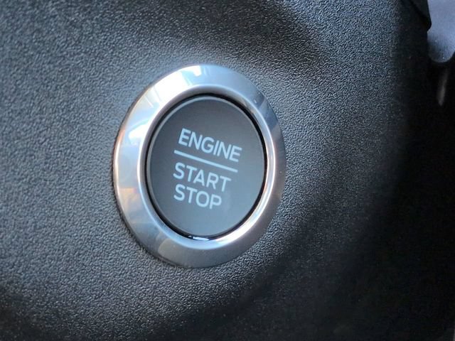 New 2026 Ford Transit 250 Low Roof w/ Load Area Protection Package RWD image 27