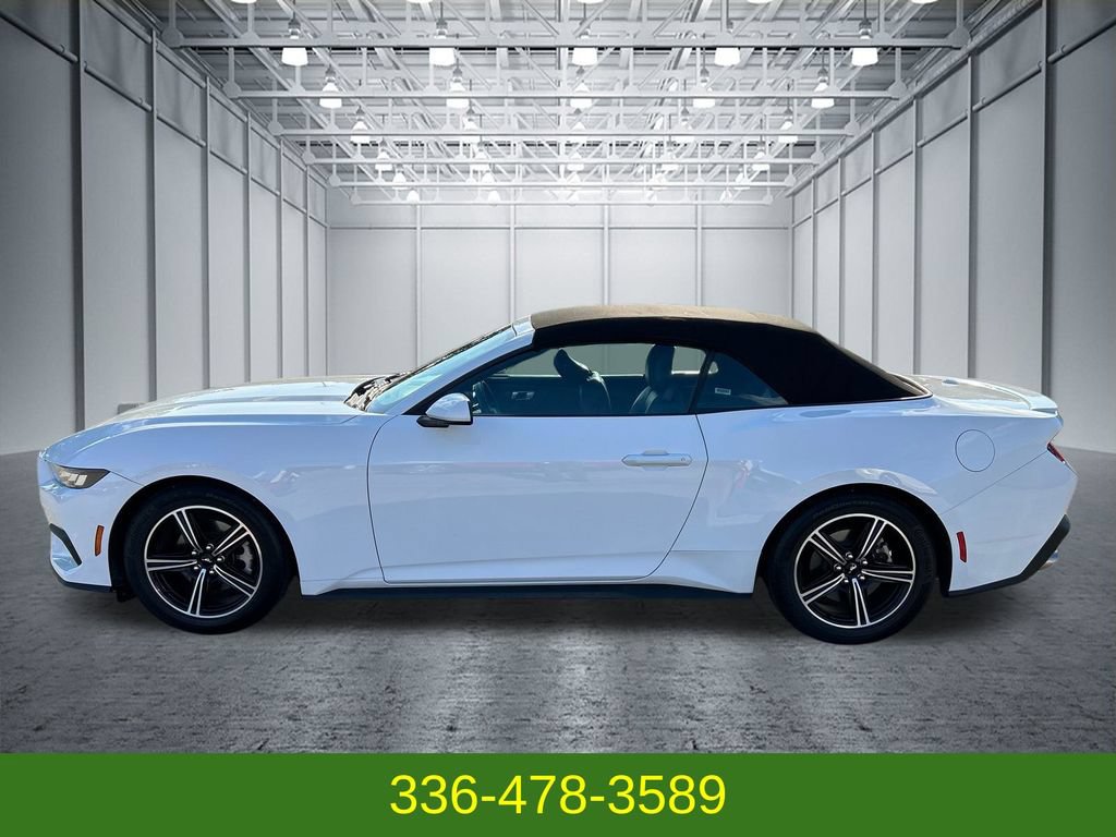 Used 2025 Ford Mustang Premium RWD image 2