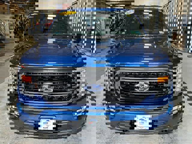 Used 2022 Ford F150 XLT w/ Equipment Group 302A High image 2