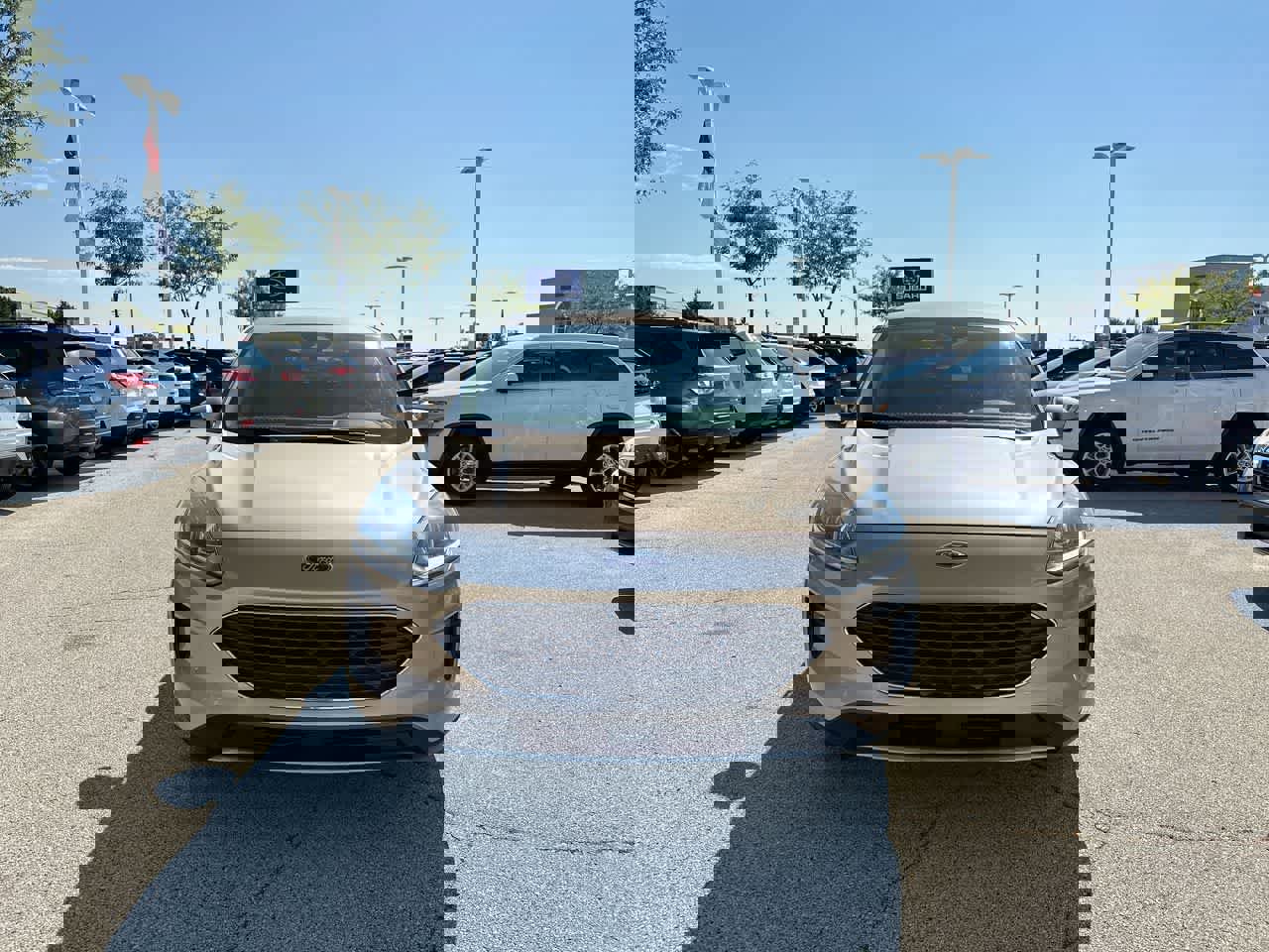 Used 2020 Ford Escape SE image 16