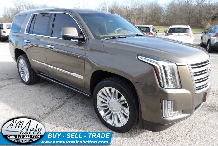 Used 2015 Cadillac Escalade Platinum image 7