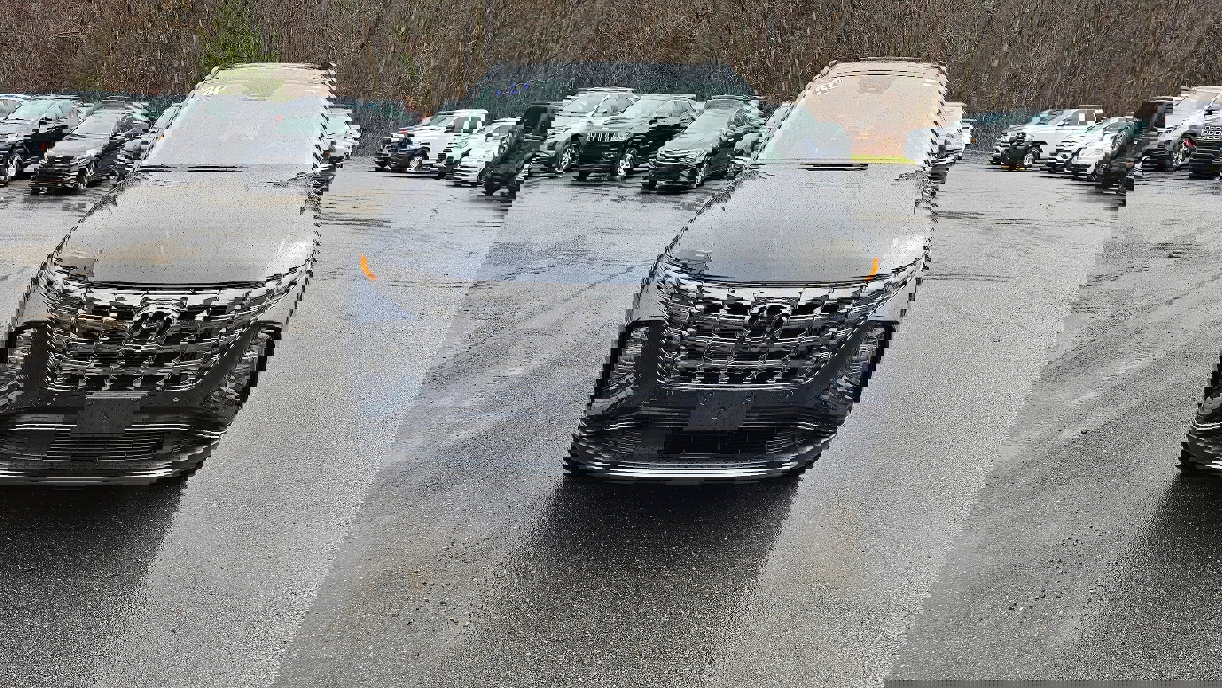 Used 2024 Hyundai Tucson Limited image 3