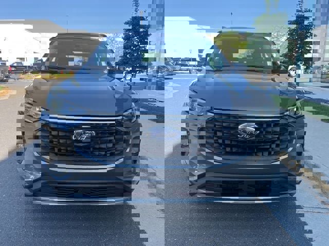 Certified 2025 Ford Escape Platinum image 2