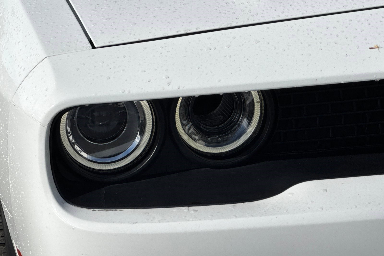 Used 2019 Dodge Challenger SRT Hellcat image 10