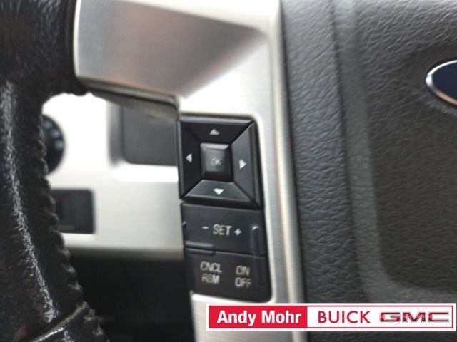 Used 2013 Ford F150 Platinum image 31