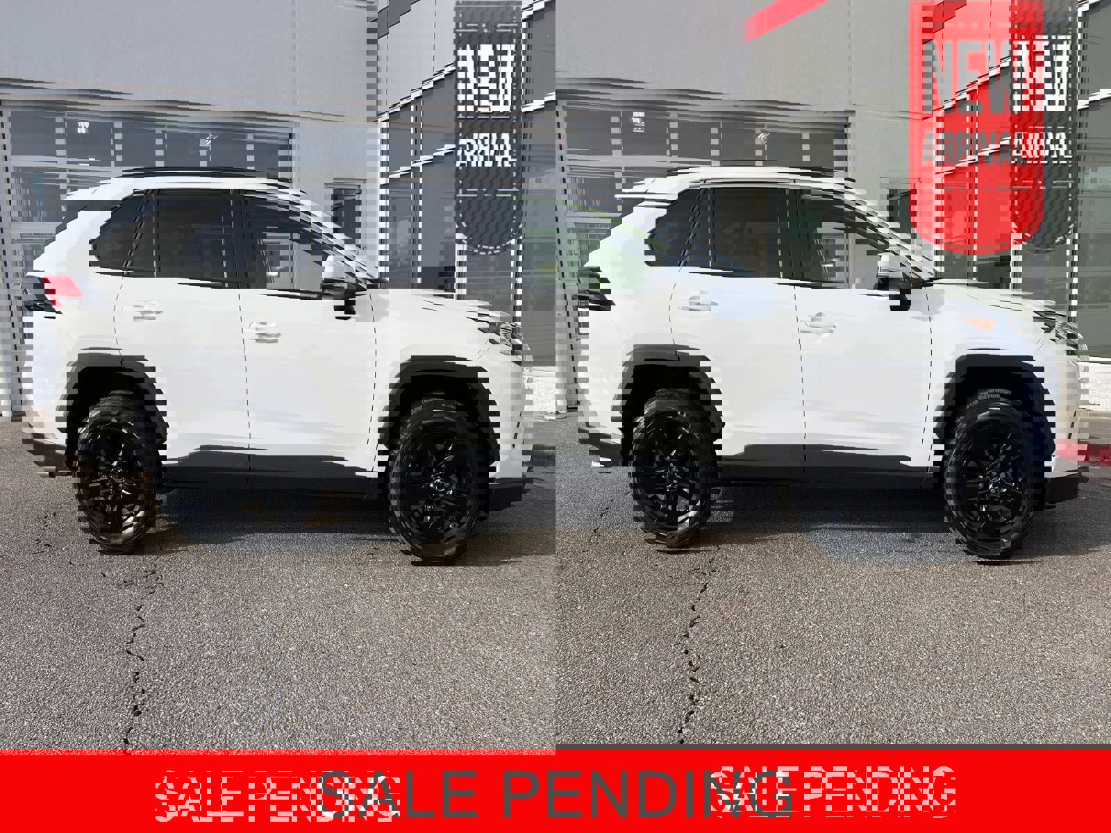 Used 2019 Toyota RAV4 XLE w/ Convenience Package