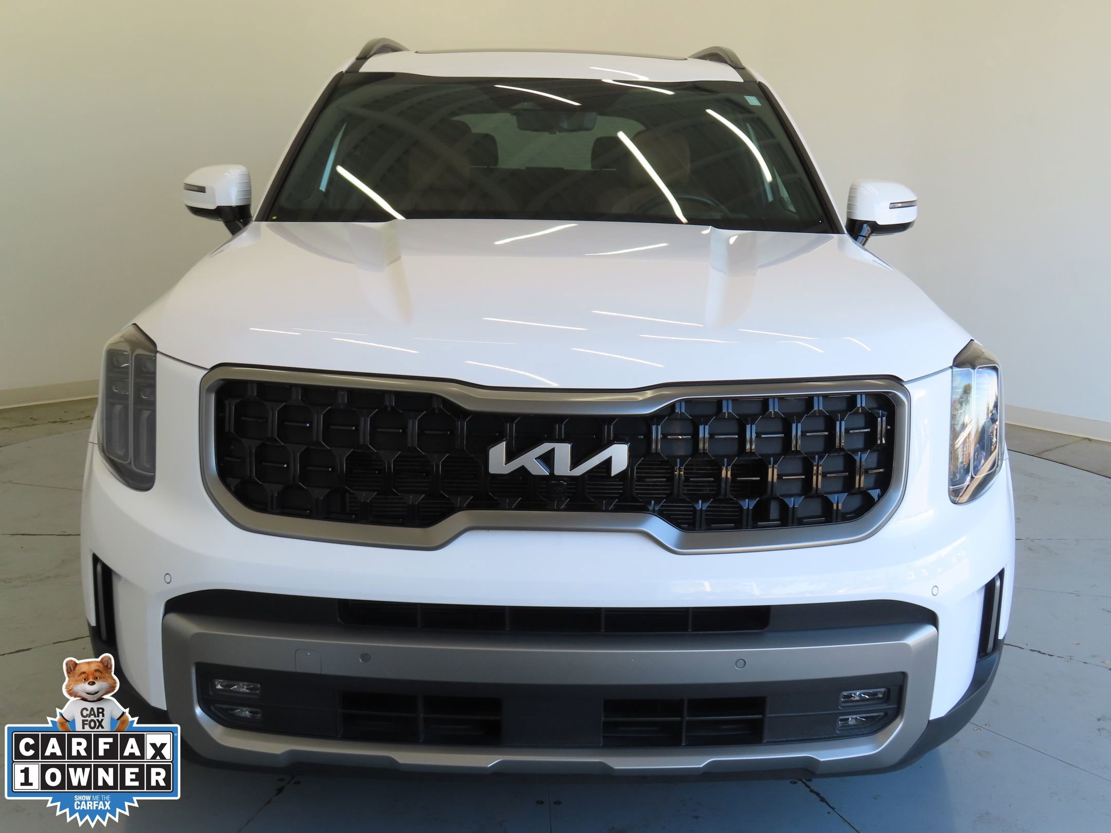 Used 2023 Kia Telluride SX Prestige X-Pro image 11