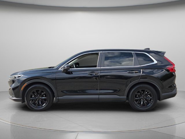 Used 2024 Honda CR-V EX-L image 3