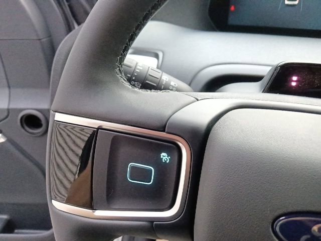 New 2025 Ford Expedition Active image 18