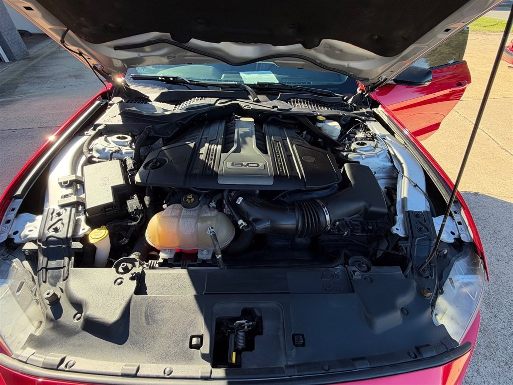 Used 2019 Ford Mustang GT Premium w/ Equipment Group 401A RWD image 8
