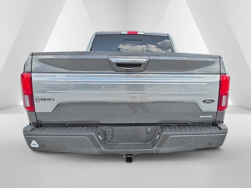 Used 2019 Ford F150 Platinum w/ Equipment Group 701A Luxury AWD/4WD image 6