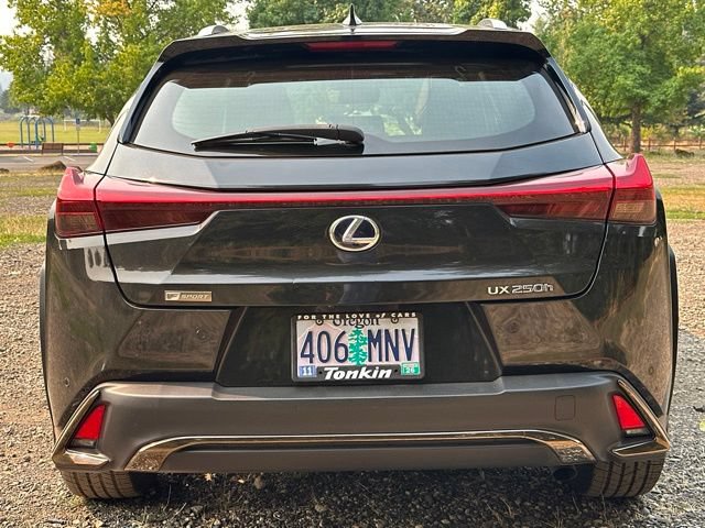 Used 2020 Lexus UX 250h F Sport w/ F Sport Premium Package AWD/4WD image 8