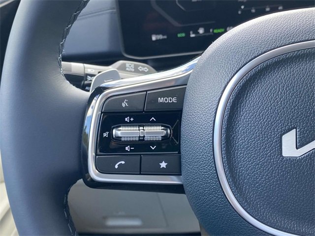 New 2025 Kia Carnival SX Prestige image 22