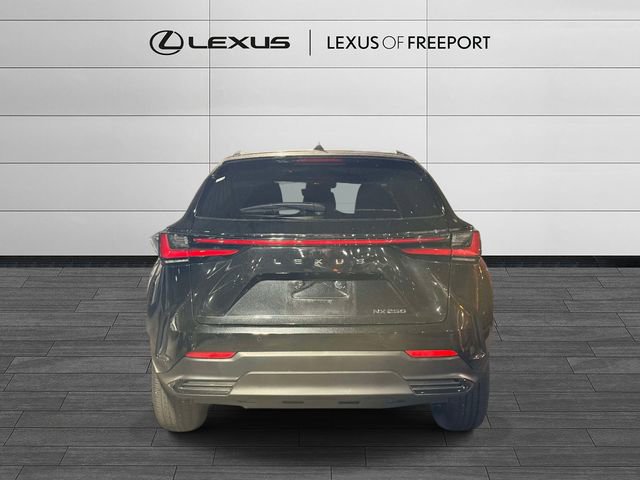 Certified 2024 Lexus NX 250 FWD image 5