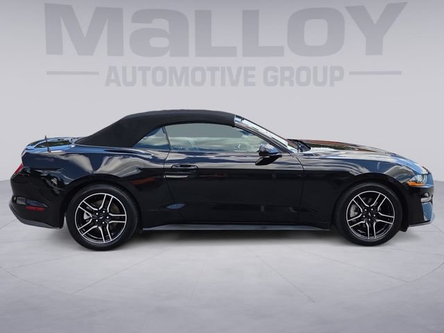 Used 2023 Ford Mustang Premium RWD image 6