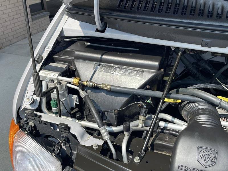 Used 1999 Dodge B1500 RWD image 59