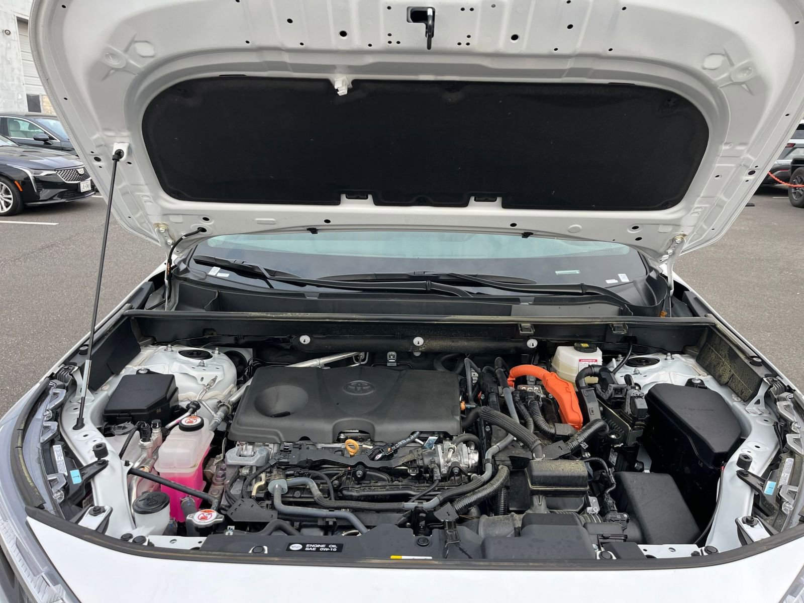 Used 2025 Toyota RAV4 LE image 31