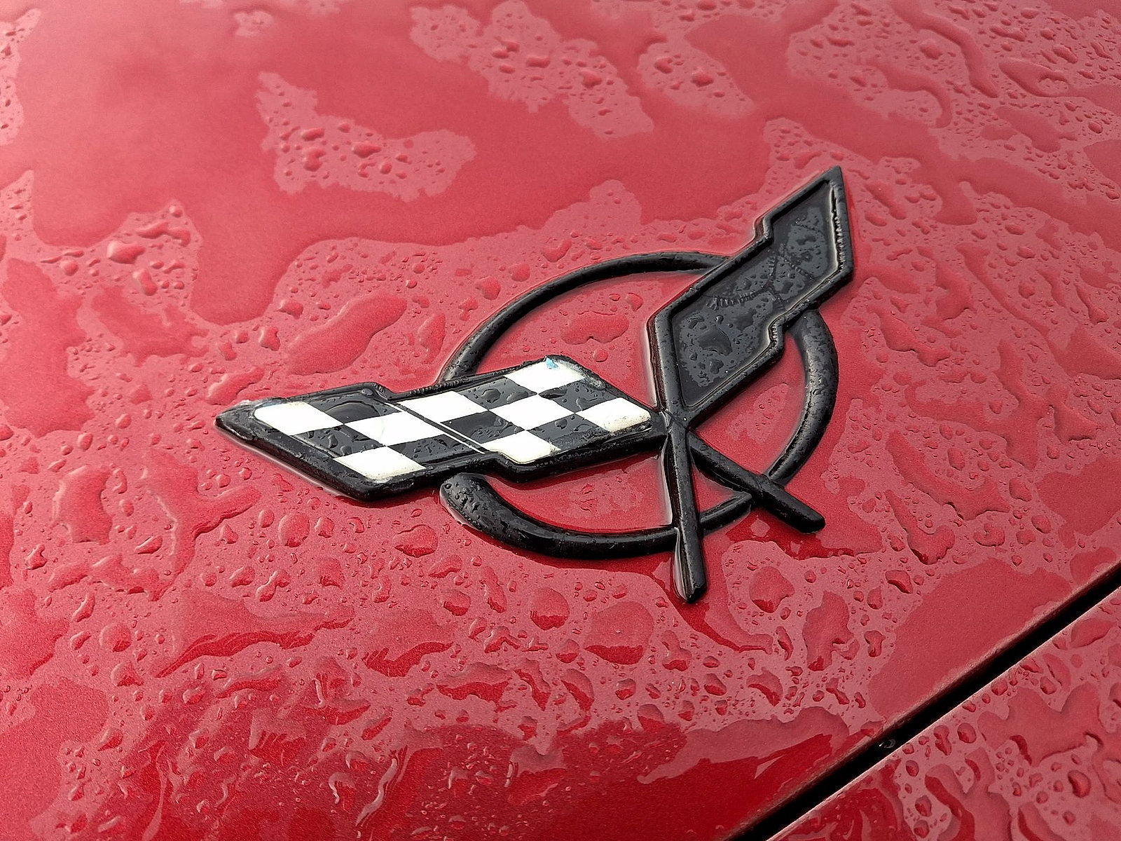 Used 2001 Chevrolet Corvette Convertible w/ Preferred Equipment Group2 RWD image 19