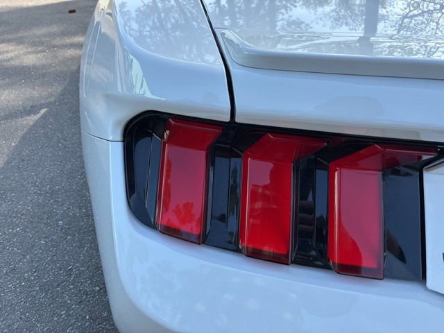 Used 2024 Ford Mustang Premium image 14