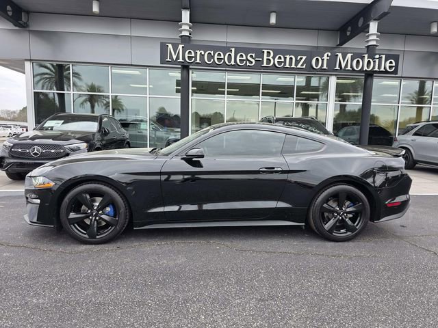 Used 2023 Ford Mustang Coupe w/ Equipment Group 101A image 1