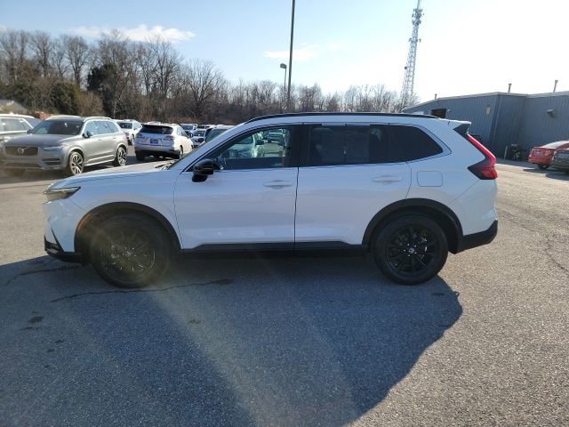 Used 2024 Honda CR-V Sport image 3
