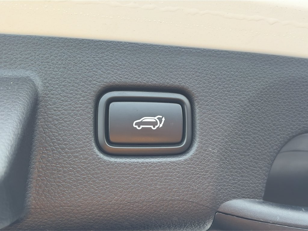 Used 2025 Kia Seltos SX w/ SX Sunroof Package AWD/4WD image 12
