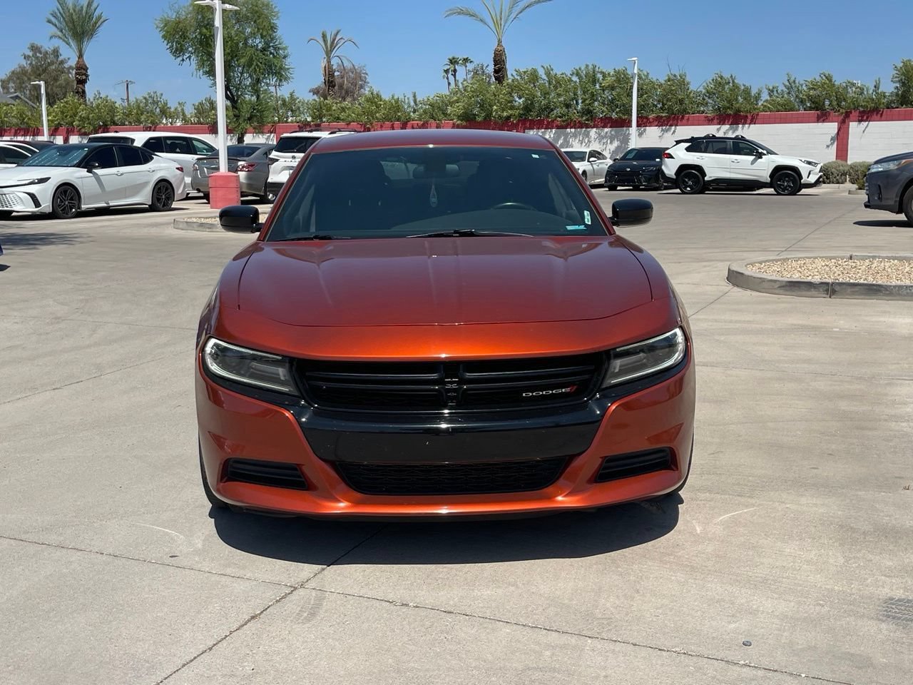 Used 2020 Dodge Charger SXT w/ Blacktop Package RWD image 2