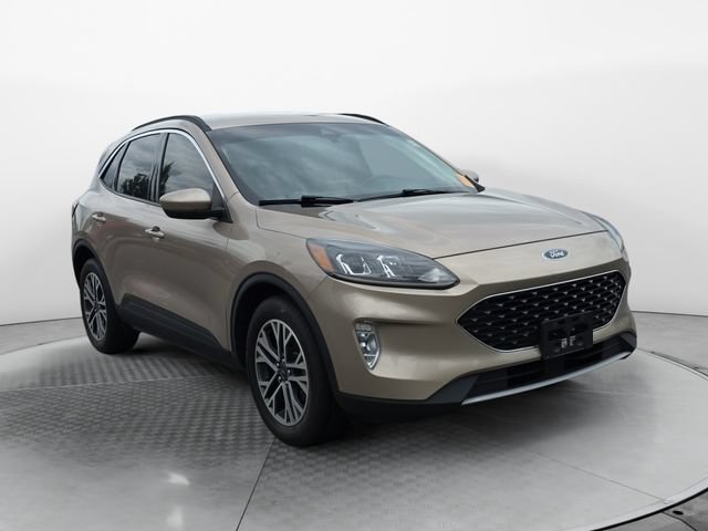 Used 2020 Ford Escape SEL FWD image 7