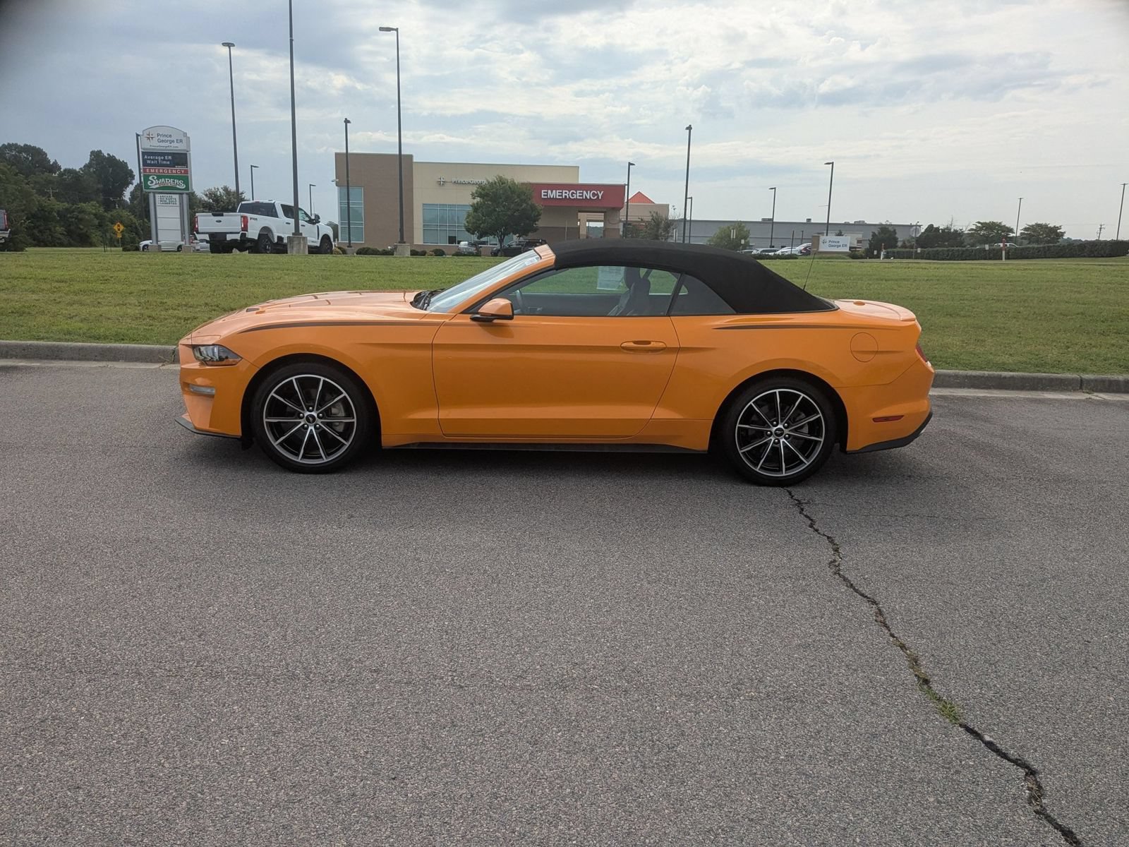 Used 2019 Ford Mustang Premium w/ Equipment Group 201A RWD image 6