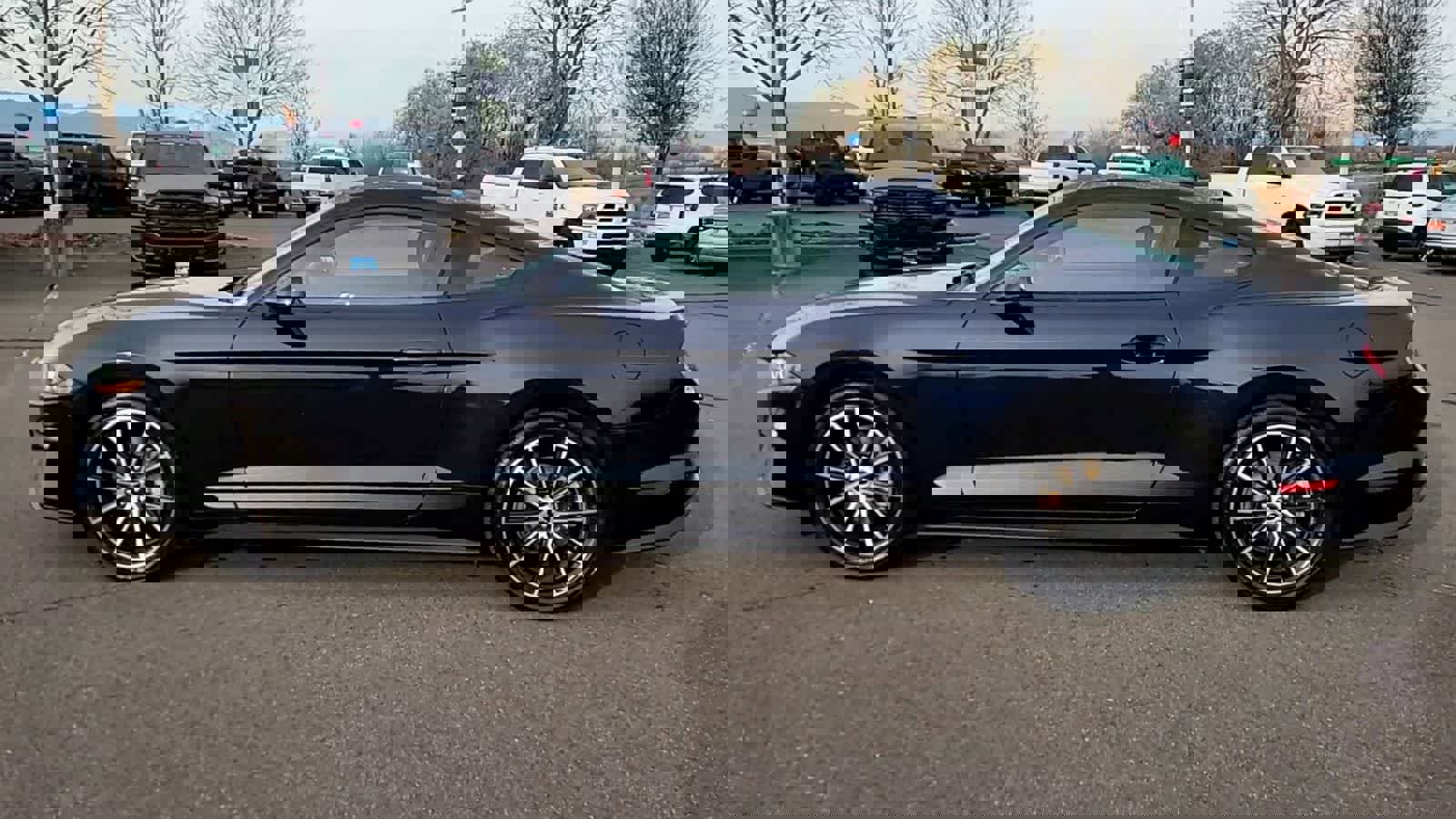 Used 2021 Ford Mustang Coupe w/ Equipment Group 101A image 5